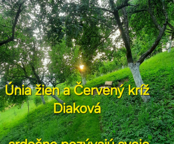 Únia žien Slovenska