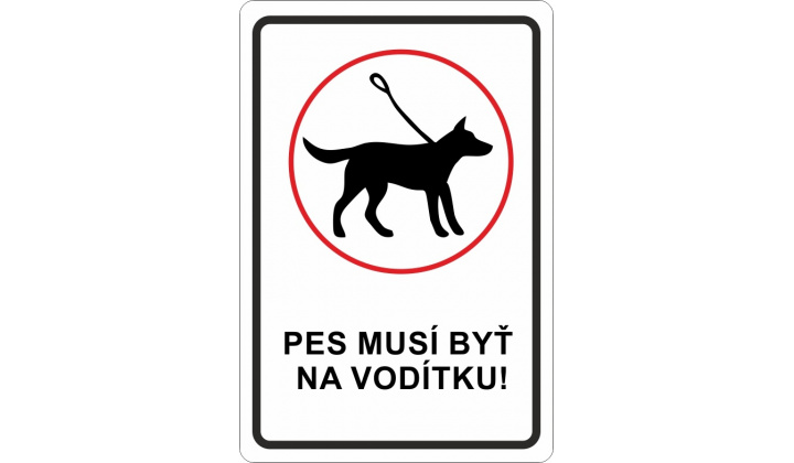 Voľný pohyb psov v obci - výzva