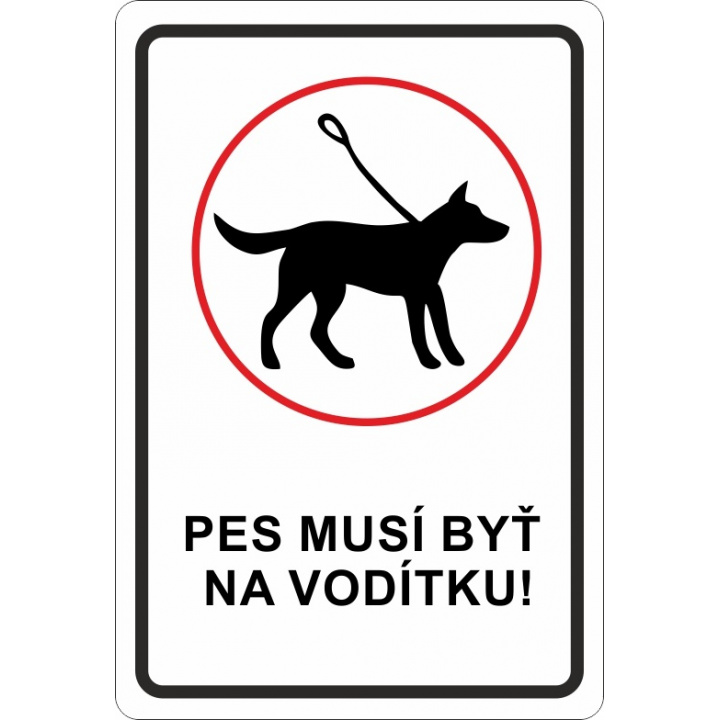 Voľný pohyb psov v obci - výzva