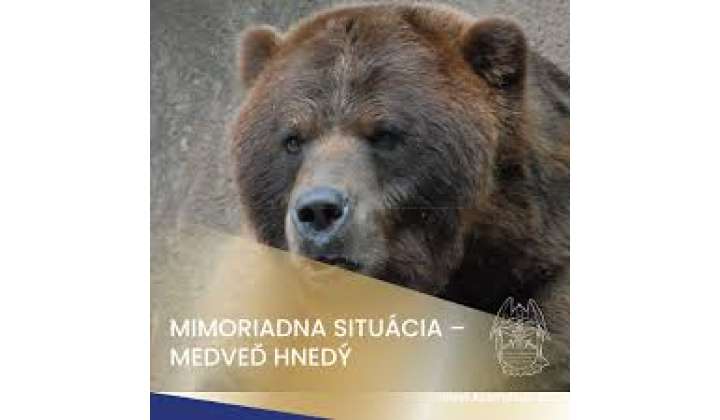 Vyhlásenie mimoriadnej situácie - medveď hnedý